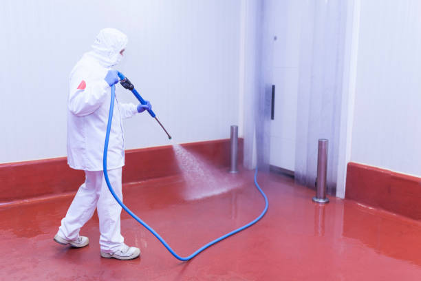 Best Graffiti Removal  in Grantville, GA